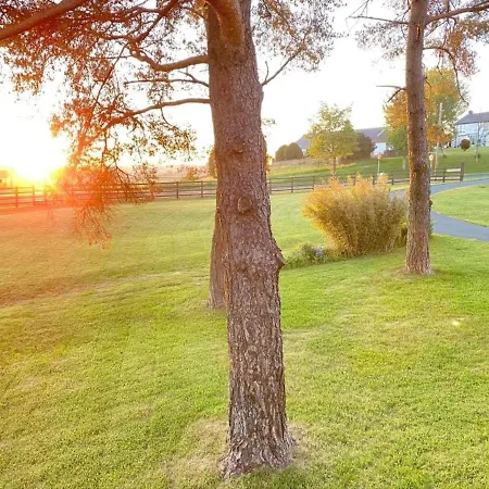 Lune Nestled Between District And Yorkshire Dales * Tebay (Cumbria)